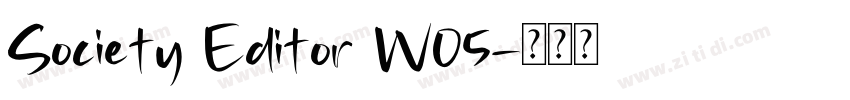 Society Editor W05字体转换